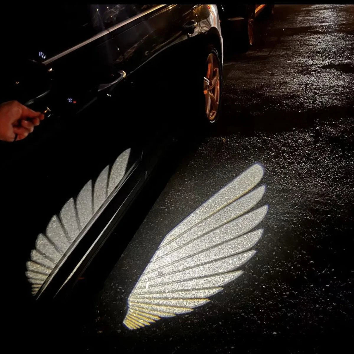 LED Light 2PCS Car Angel Wings Welcome Light Rearview Mirror Welcome Light Angel Wings Carpet Projection